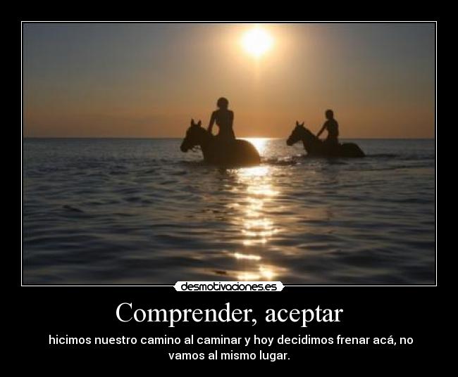 Comprender, aceptar -