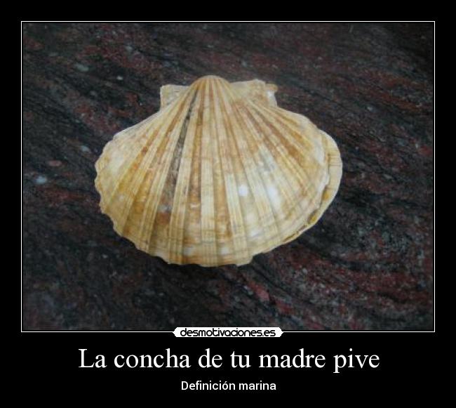 La concha de tu madre pive -