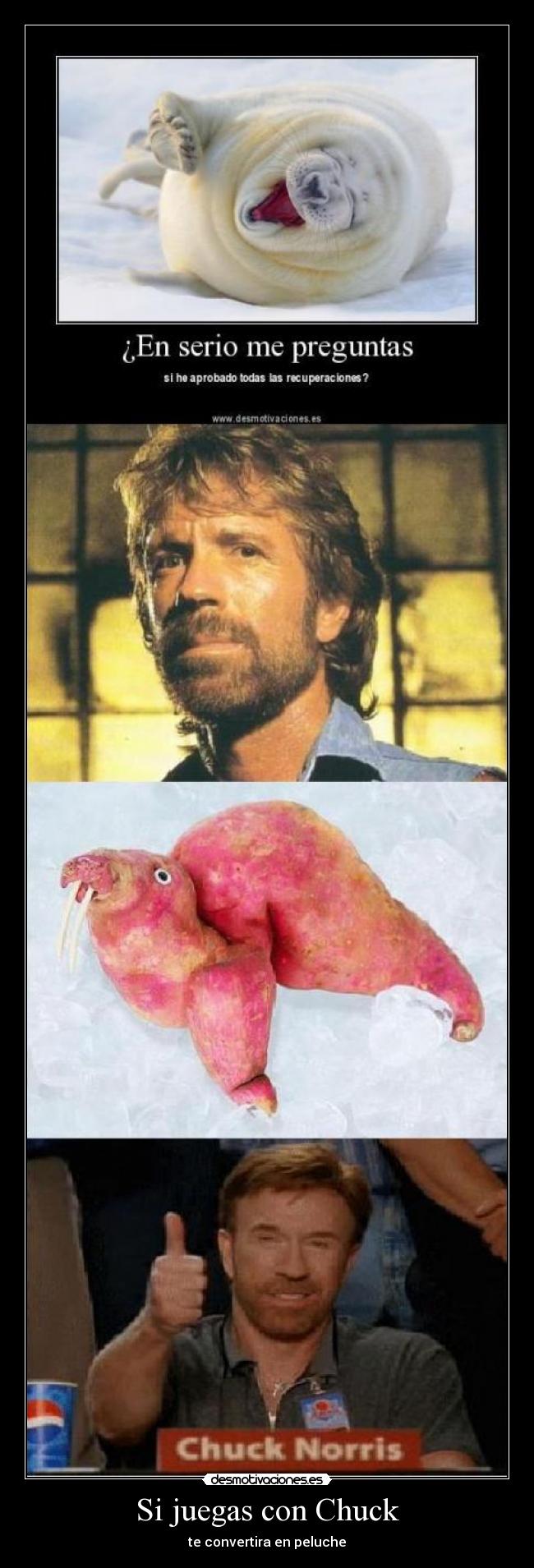 carteles chuck norris desmotivaciones