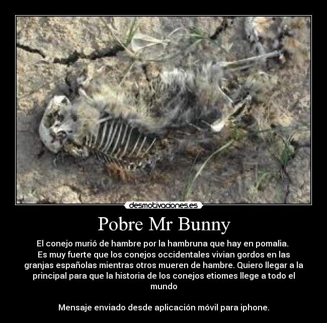 carteles bunny returns mando desde iphone porque blackberry tiene aplicacion desmotivaciones