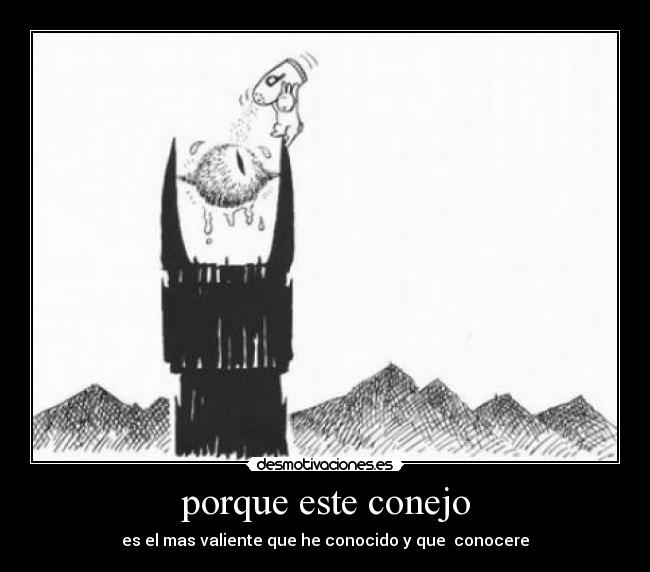 porque este conejo -