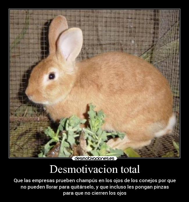 Desmotivacion total - 