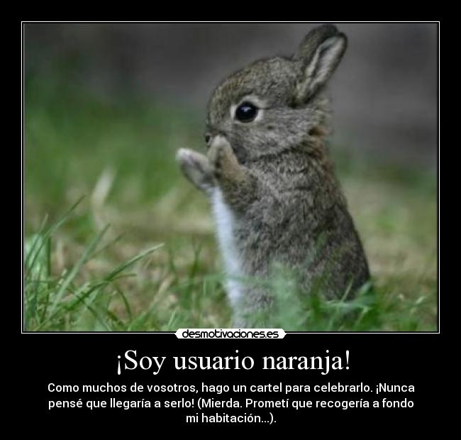 ¡Soy usuario naranja! - Como muchos de vosotros, hago un cartel para celebrarlo. ¡Nunca
pensé que llegaría a serlo! (Mierda. Prometí que recogería a fondo
mi habitación...).