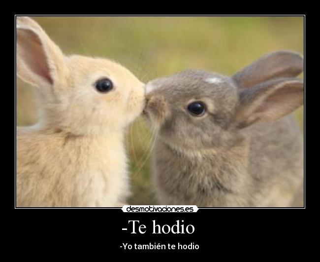 -Te hodio - -Yo también te hodio