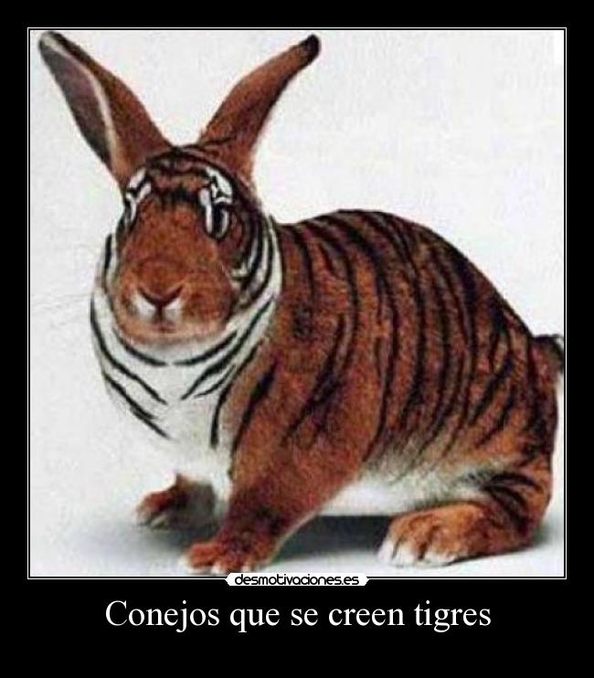 Conejos que se creen tigres -