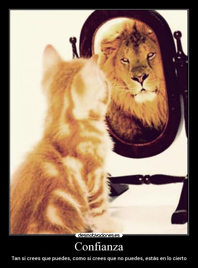 Confianza - Tan si crees que puedes, como si crees que no puedes, estás en lo cierto