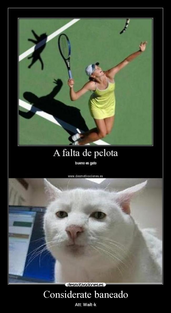 Considerate baneado - Att: Walt-k