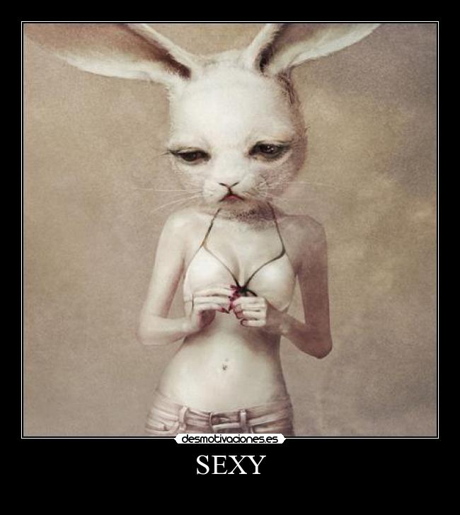 carteles lolaso que pornoso todo cono que verdah todo ahora pornoso desmotivaciones