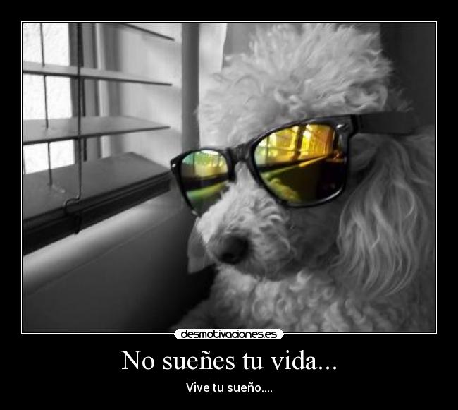 No sueñes tu vida... - Vive tu sueño....