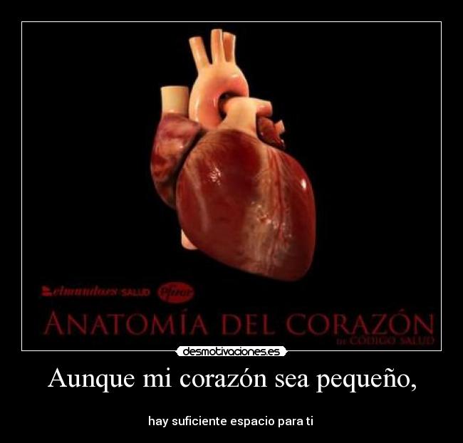 carteles corazon pocos sentimientos corazon pequeno que tiene voy explicar mas desmotivaciones