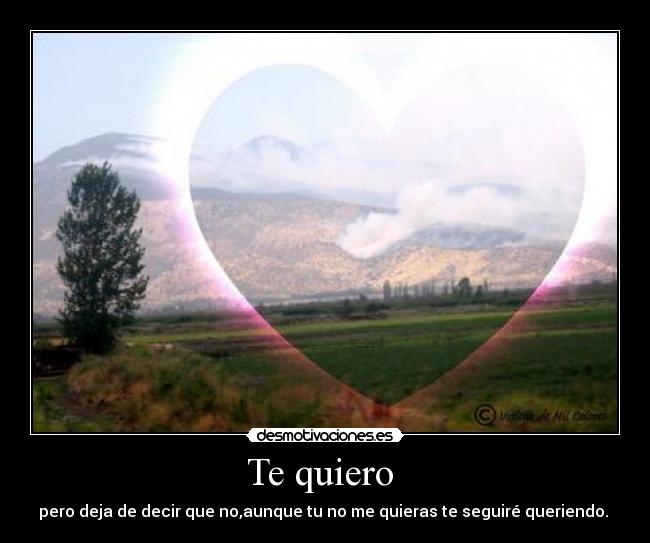 Te quiero  - pero deja de decir que no,aunque tu no me quieras te seguiré queriendo. ♥