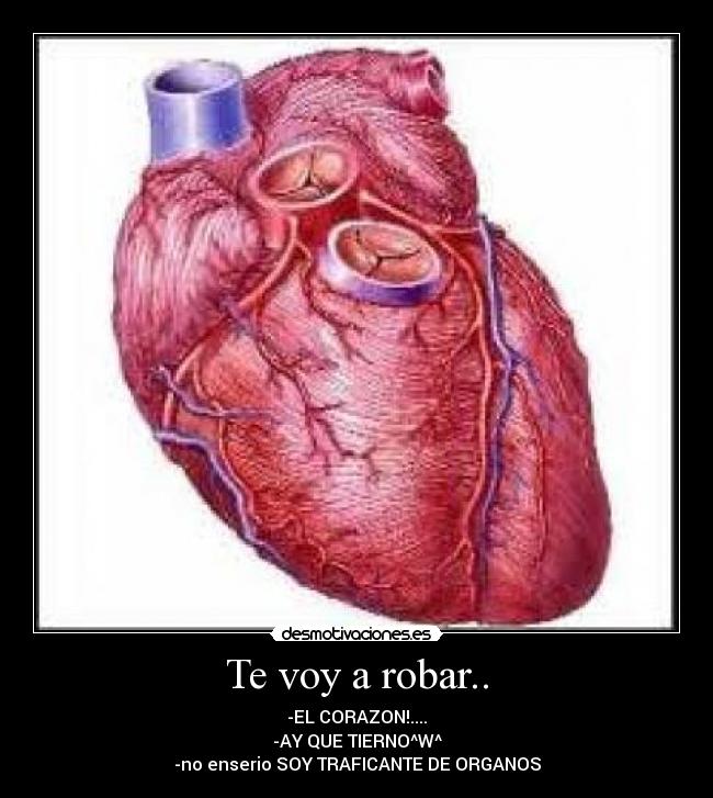Te voy a robar.. - -EL CORAZON!....
-AY QUE TIERNO^W^
-no enserio SOY TRAFICANTE DE ORGANOS