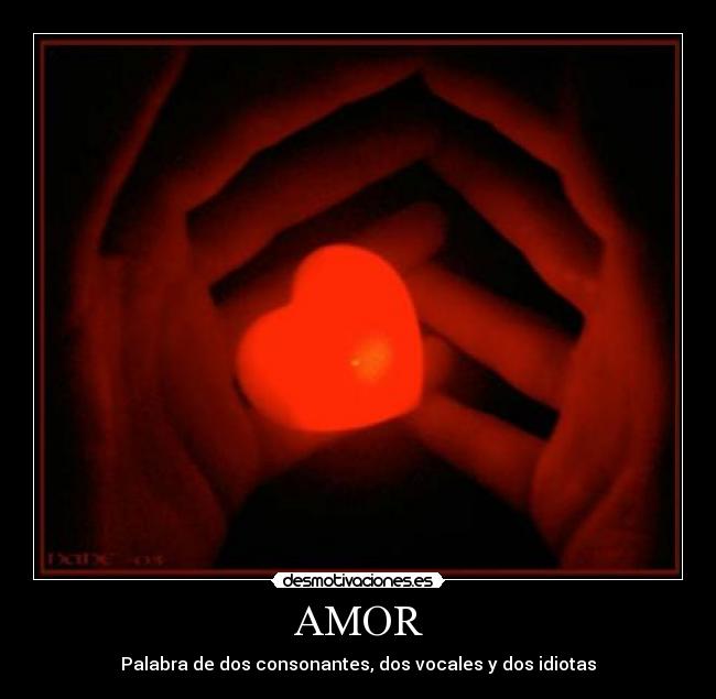 AMOR - 