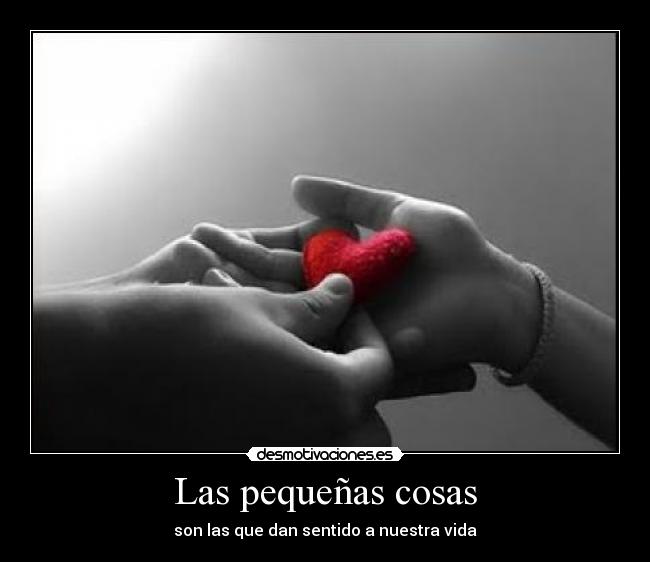 Las pequeñas cosas - son las que dan sentido a nuestra vida
