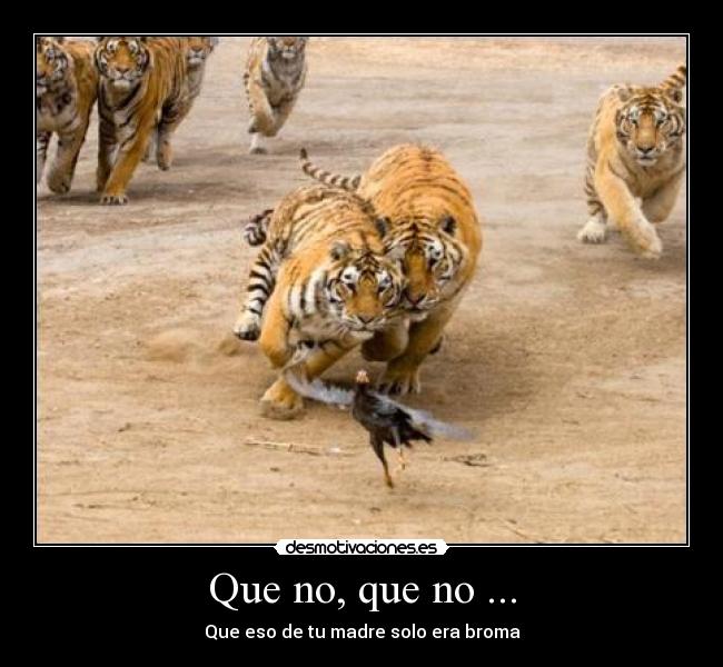 Que no, que no ... - Que eso de tu madre solo era broma
