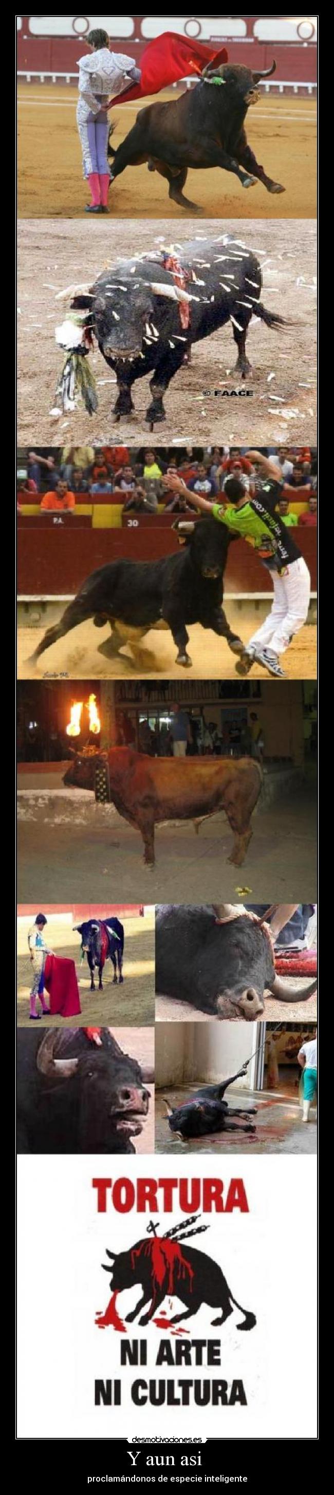 Y aun asi - proclamándonos de especie inteligente