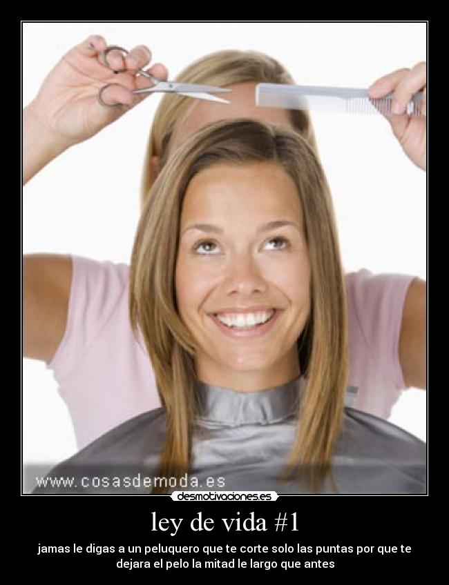 ley de vida #1 -
