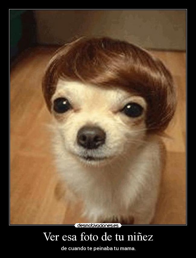 Ver esa foto de tu niñez -