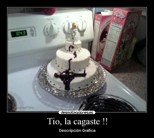 Tio, la cagaste !! - Descripción Grafica