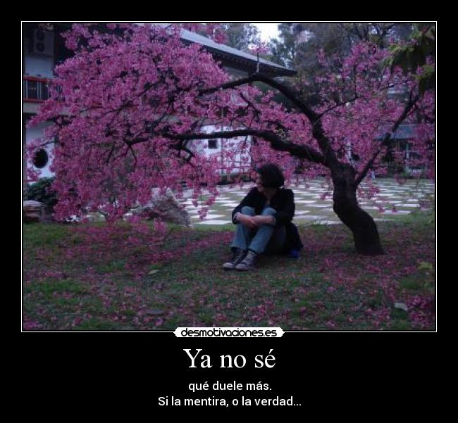 Ya no sé - 