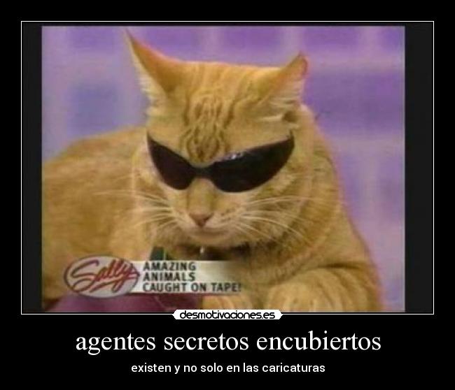 agentes secretos encubiertos - existen y no solo en las caricaturas