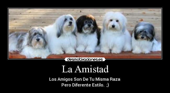 La Amistad -