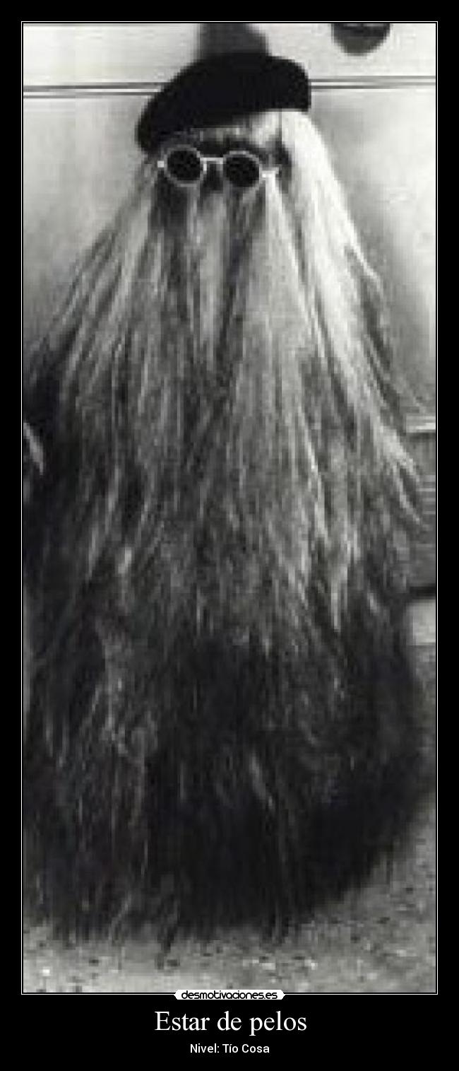 carteles pelos adams humor desmotivaciones