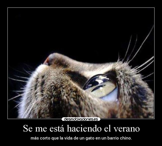 Se me está haciendo el verano -