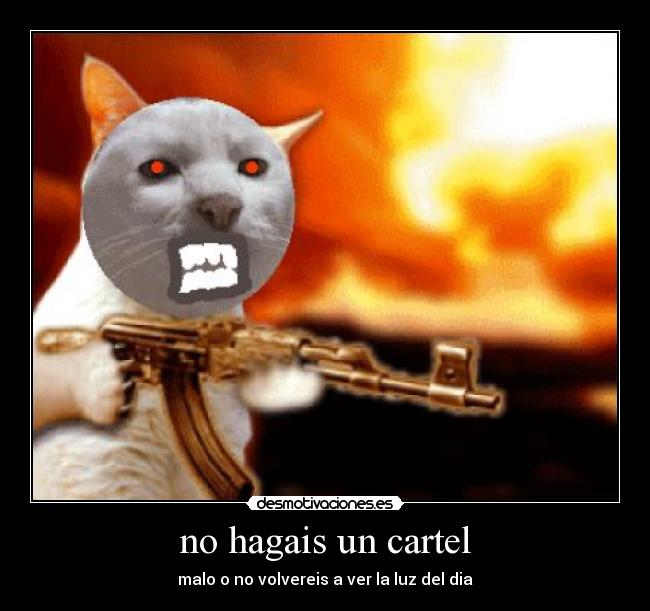 no hagais un cartel -