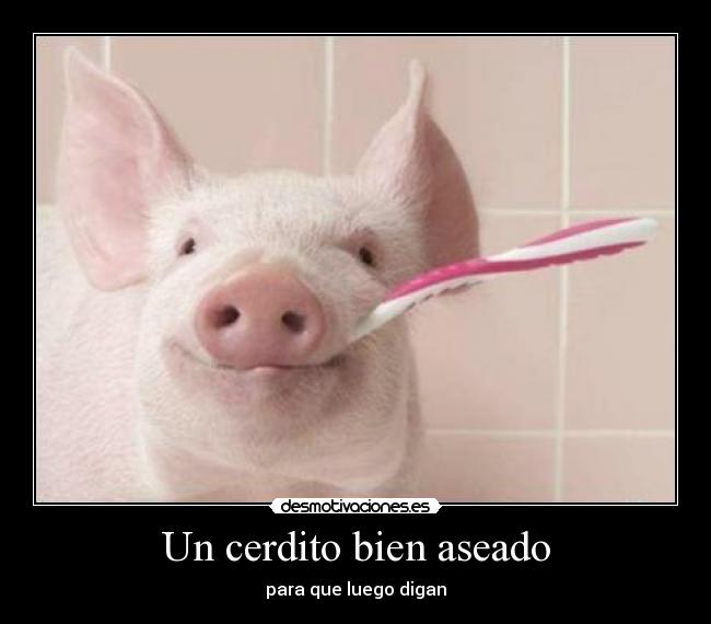 Un cerdito bien aseado - para que luego digan