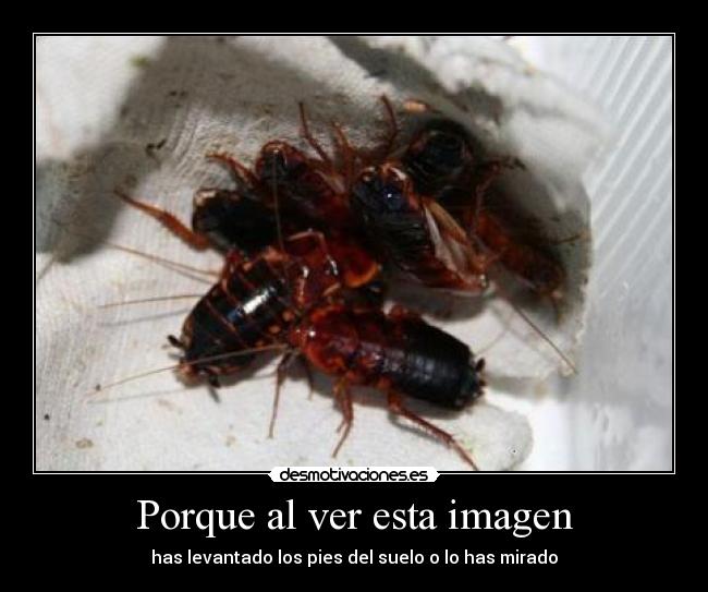 Porque al ver esta imagen - has levantado los pies del suelo o lo has mirado