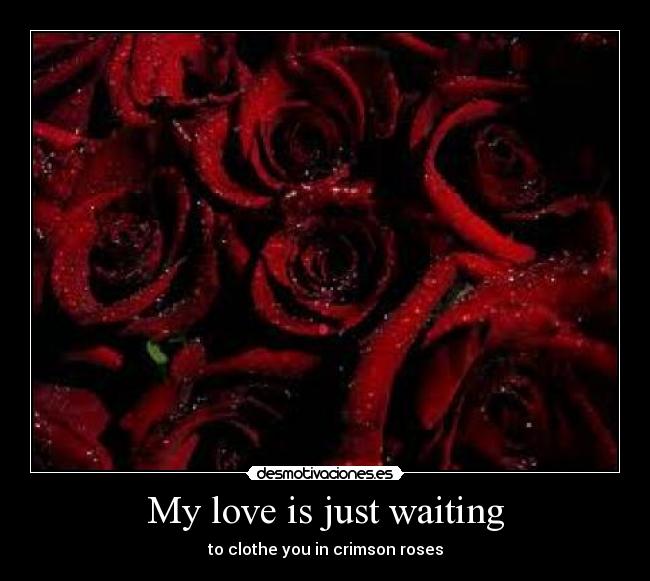 My love is just waiting - to clothe you in crimson roses