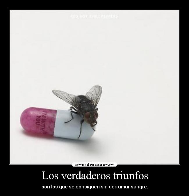 Los verdaderos triunfos - son los que se consiguen sin derramar sangre.