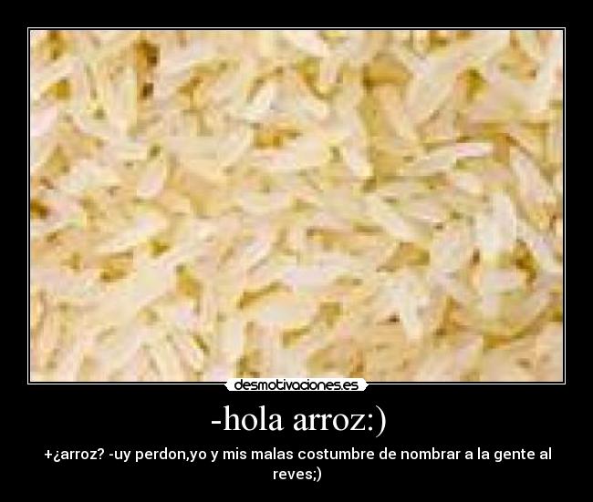 -hola arroz:) - 