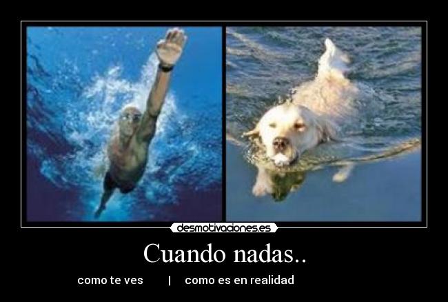 Cuando nadas.. -    como te ves         |     como es en realidad                               