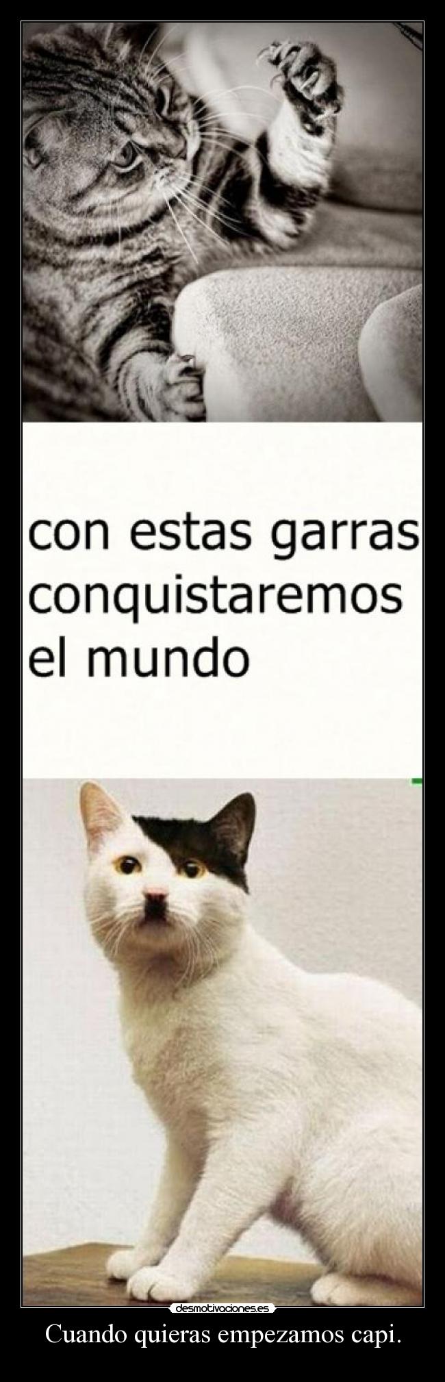 Cuando quieras empezamos capi. - 