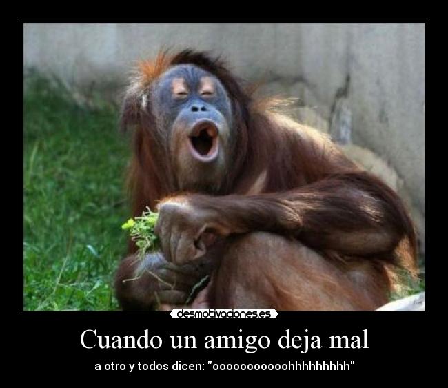 Cuando un amigo deja mal -
