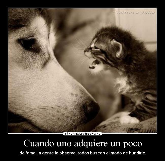 carteles deivod cuando uno adquiere poco fama todo mundo busca modo hundirle desmotivaciones