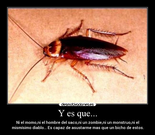 Y es que... - Ni el momo,ni el hombre del saco,ni un zombie,ni un monstruo,ni el
mismísimo diablo... Es capaz de asustarme mas que un bicho de estos.