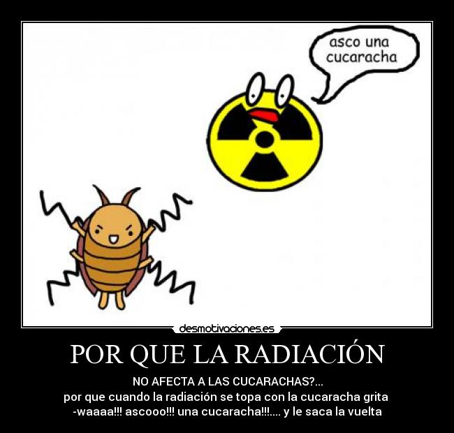 POR QUE LA RADIACIÓN - NO AFECTA A LAS CUCARACHAS?...
por que cuando la radiación se topa con la cucaracha grita
-waaaa!!! ascooo!!! una cucaracha!!!.... y le saca la vuelta
