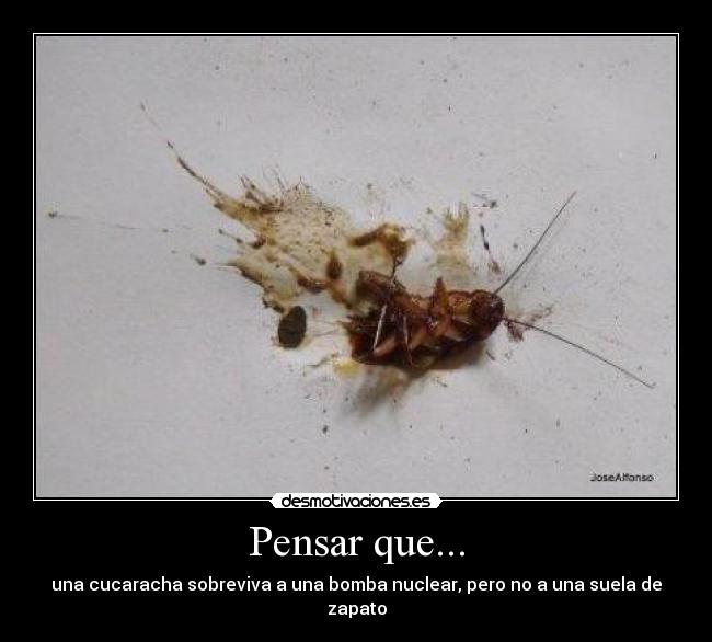 Pensar que... - una cucaracha sobreviva a una bomba nuclear, pero no a una suela de zapato
