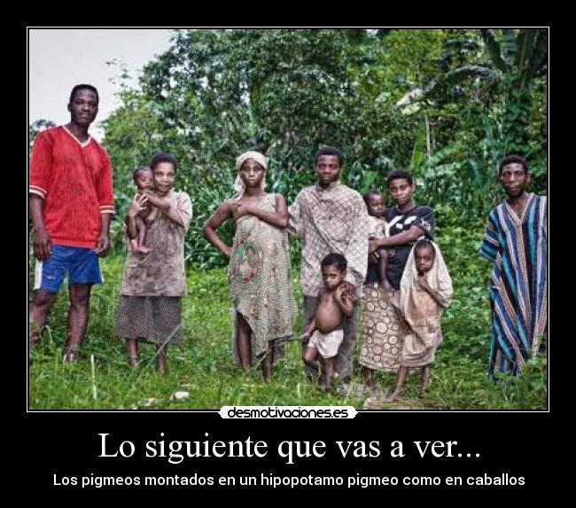 Lo siguiente que vas a ver... - Los pigmeos montados en un hipopotamo pigmeo como en caballos