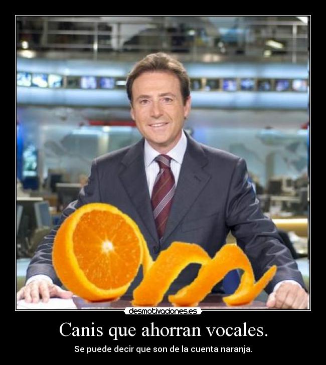 Canis que ahorran vocales. - Se puede decir que son de la cuenta naranja.