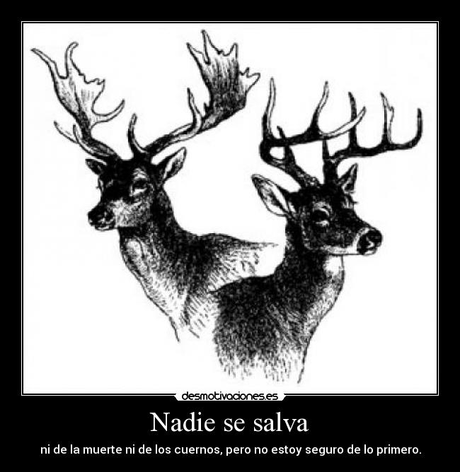 Nadie se salva -
