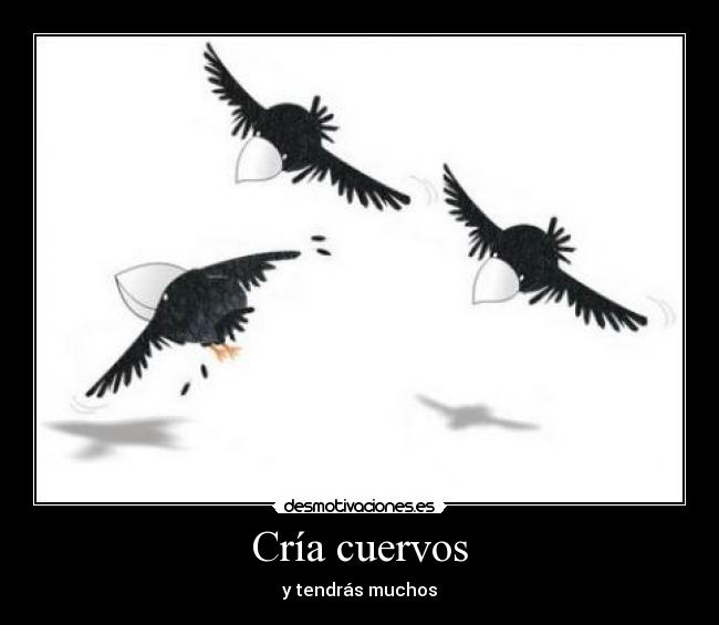 carteles cuervos desmotivaciones