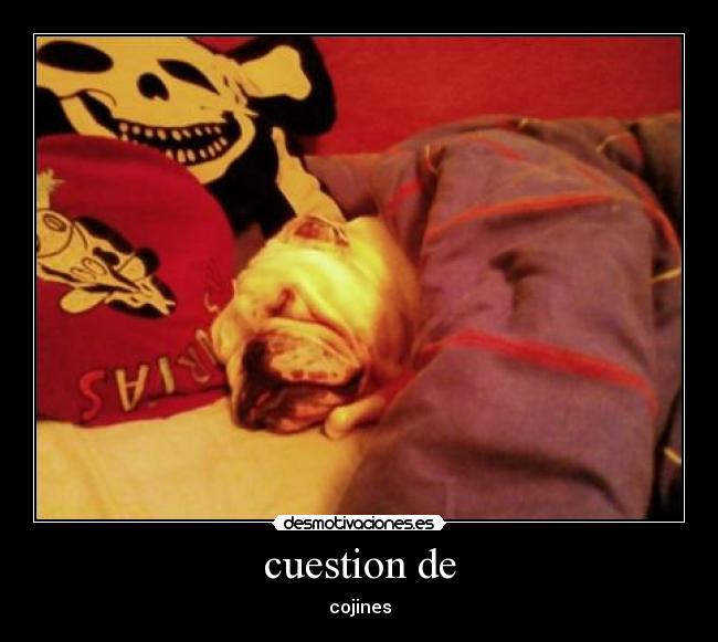 carteles humor desmotivaciones