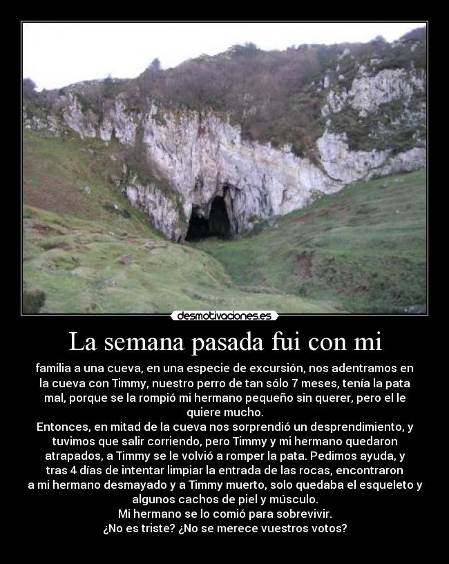 La semana pasada fui con mi - familia a una cueva, en una especie de excursión, nos adentramos en
la cueva con Timmy, nuestro perro de tan sólo 7 meses, tenía la pata
mal, porque se la rompió mi hermano pequeño sin querer, pero el le
quiere mucho.
Entonces, en mitad de la cueva nos sorprendió un desprendimiento, y
tuvimos que salir corriendo, pero Timmy y mi hermano quedaron
atrapados, a Timmy se le volvió a romper la pata. Pedimos ayuda, y
tras 4 días de intentar limpiar la entrada de las rocas, encontraron
a mi hermano desmayado y a Timmy muerto, solo quedaba el esqueleto y
algunos cachos de piel y músculo.
Mi hermano se lo comió para sobrevivir.
¿No es triste? ¿No se merece vuestros votos?