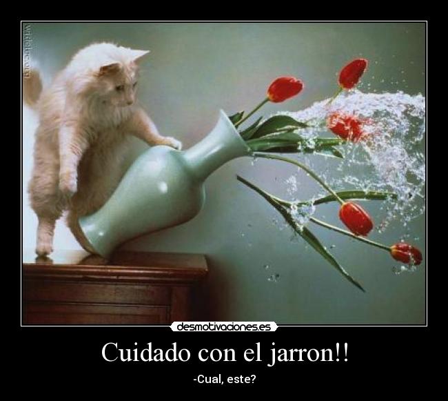 Cuidado con el jarron!! - -Cual, este?