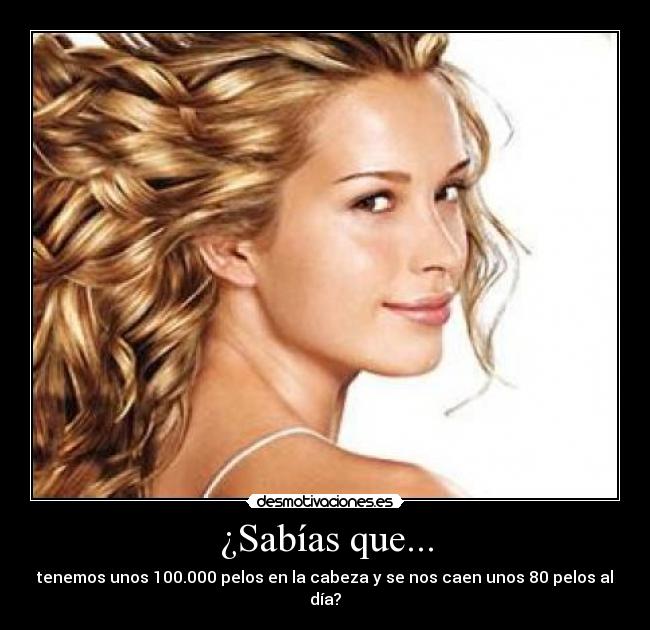 ¿Sabías que... - tenemos unos 100.000 pelos en la cabeza y se nos caen unos 80 pelos al día?