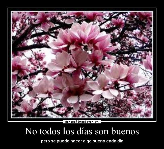 No todos los días son buenos -